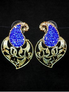 Fashion Earrings